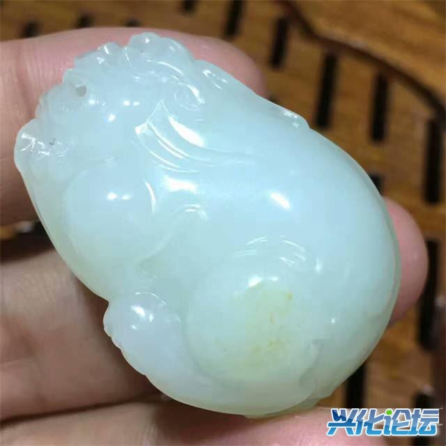 QQͼƬ20170316090533.jpg