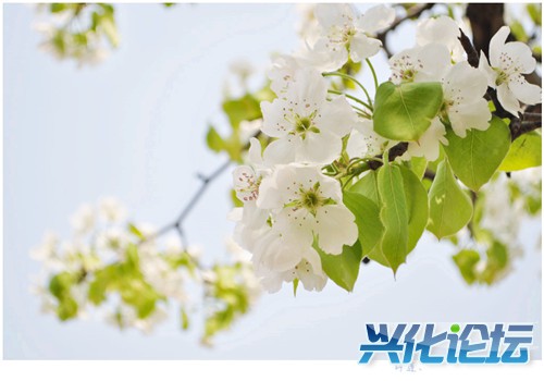 20120426233429_enRiG_.jpg