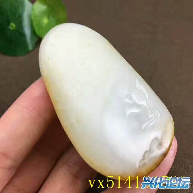 QQͼƬ20170801091057.jpg