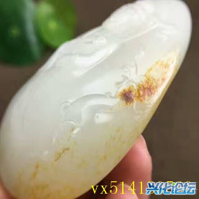 QQͼƬ20170801091104.jpg
