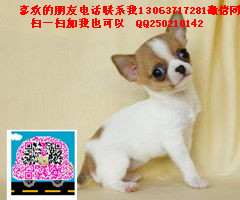 TB2YWE2fR0kpuFjy1XaXXaFkVXa_!!3068013730 - .jpg