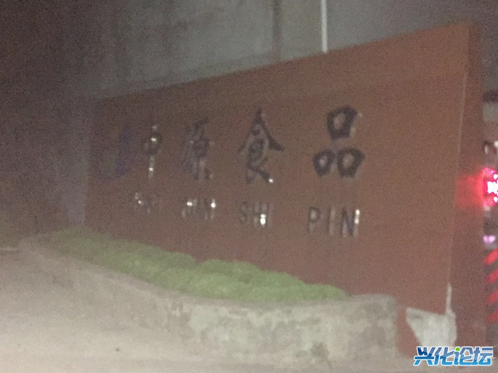 1010.jpg