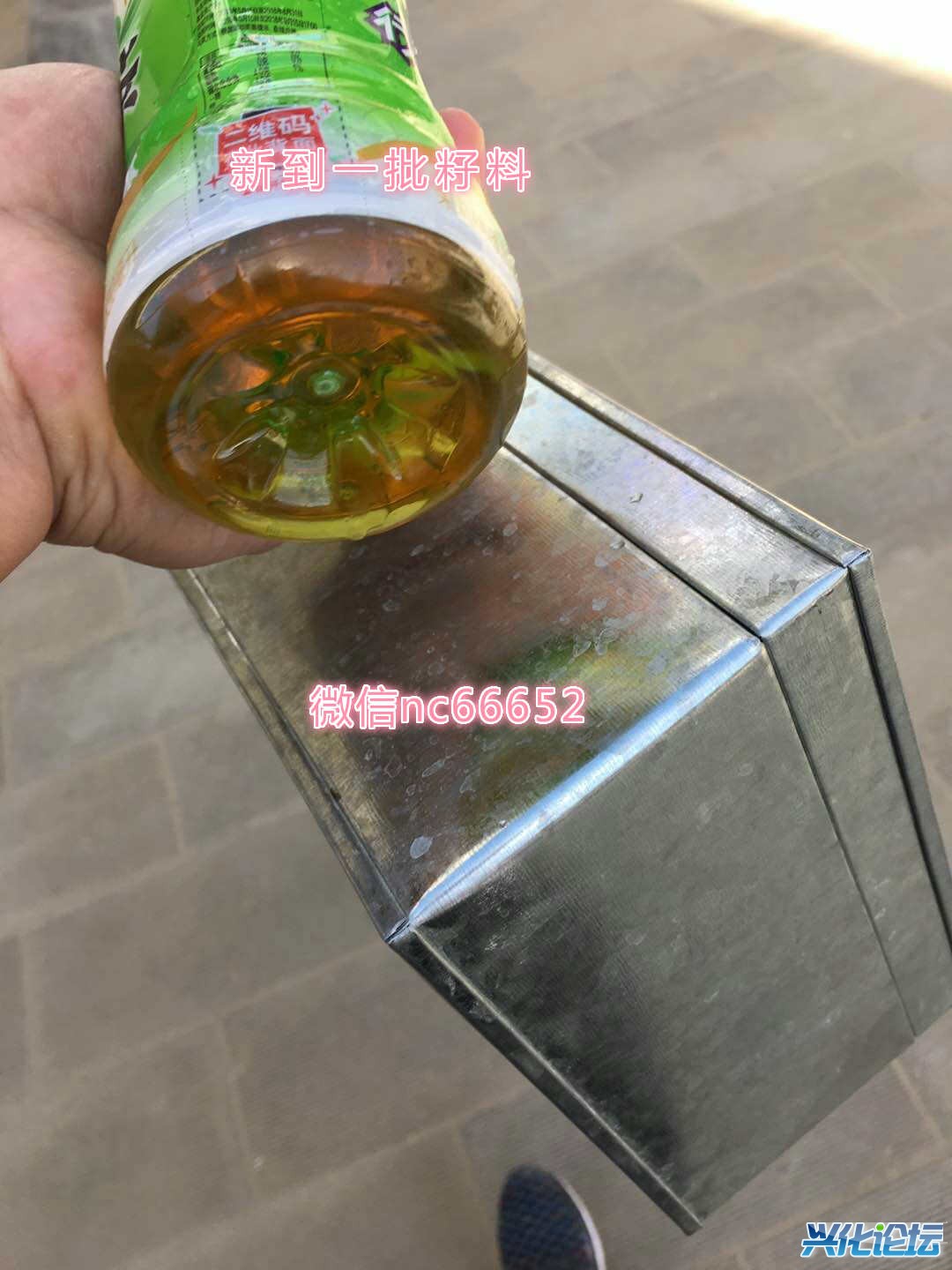 01.jpg