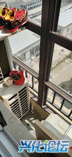 wx_camera_1555562558481.jpg