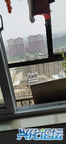 wx_camera_1555562566033.jpg