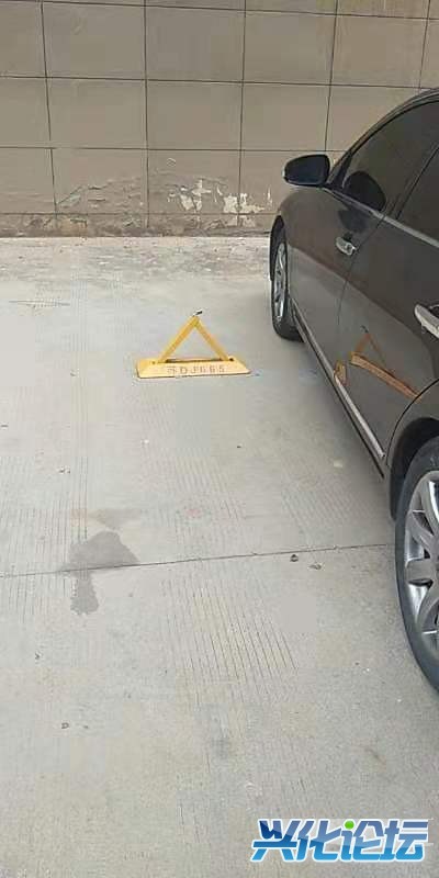 mmexport1574470998602.jpg