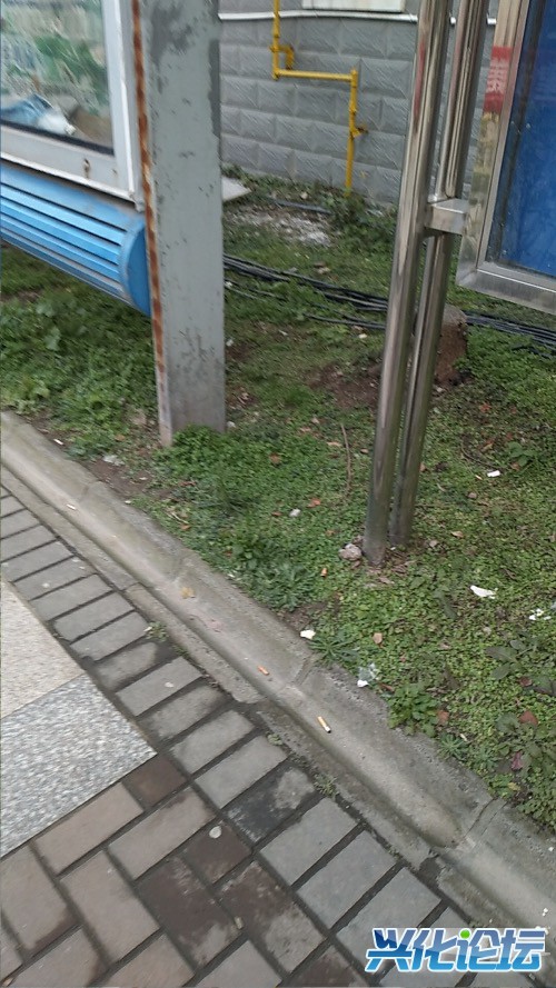 3AC61223-FFEF-4AB1-8CAE-4AC4AB2ACC79.jpeg