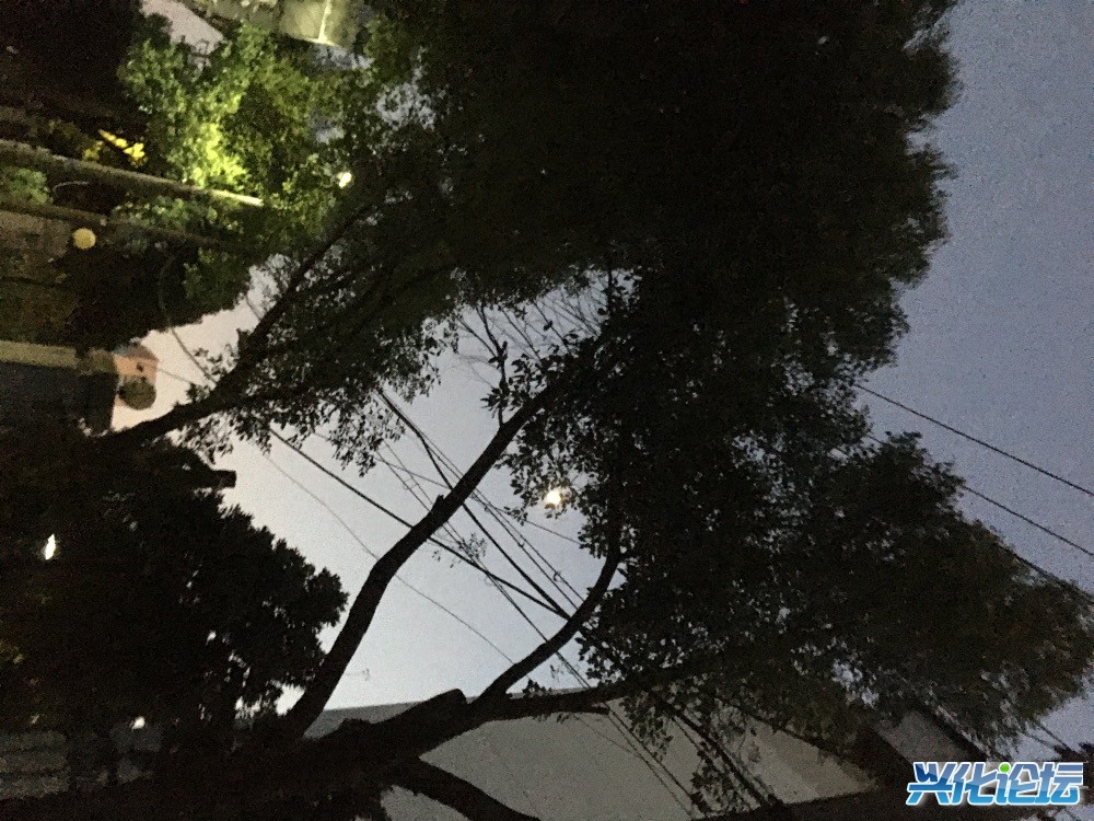 23915D88-DF90-4E2B-A115-234BEAEA22E0.jpeg