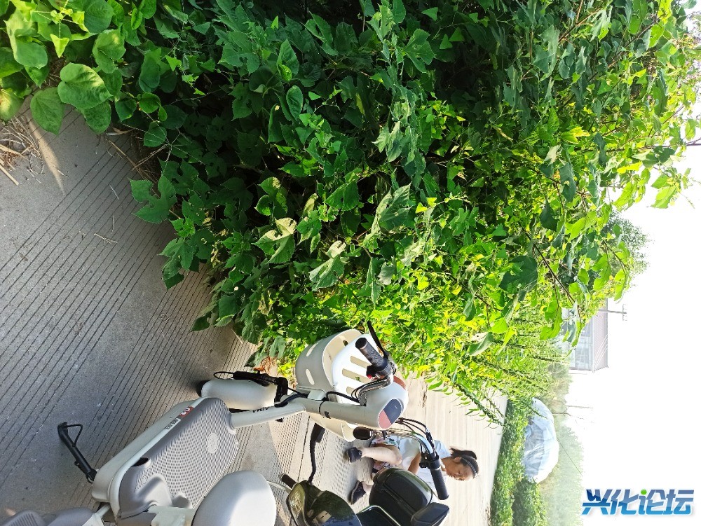 IMG_20240909_065113.jpg