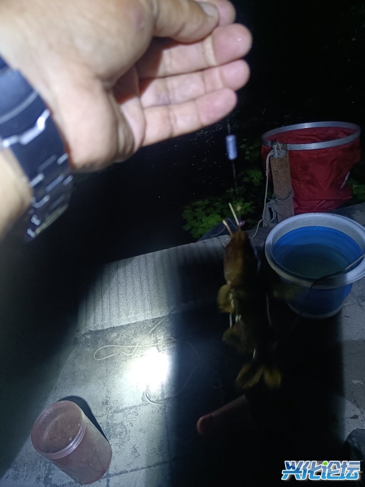 IMG_20250710_195604.jpg
